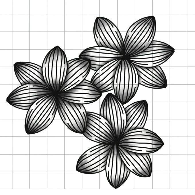 How to Draw the Ravel Pattern Step-by-Step