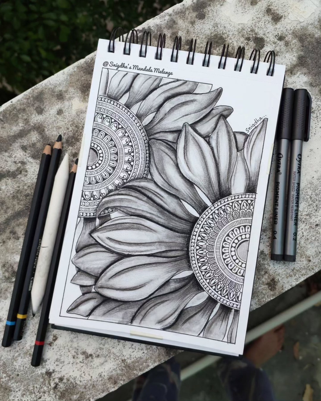 🌻🖤 Mandala Meets Nature 🖤🌻

This stunning artwork by @snigdhas_mandalamelange beautifully combines the elegance of floral illustration with the precision of mandala design. Softly shaded petals radiate outward while intricate mandala patterns emerge from their centers, creating a harmonious balance between organic beauty and geometric detail. The monochrome palette enhances the depth and texture, allowing every stroke and shadow to shine. ✨

The piece feels both peaceful and sophisticated, inviting the viewer to explore the contrast between flowing natural forms and meticulously crafted patterns.

Why this artwork stands out:

1️⃣ Intricate mandala details — packed with precision and symmetry
2️⃣ Realistic petal shading — creates beautiful depth and dimension
3️⃣ Perfect balance of nature and geometry — organic meets structured design
4️⃣ Monochrome elegance — timeless, refined, and visually striking
5️⃣ Calming visual rhythm — detailed yet soothing to explore

Art by: @snigdhas_mandalamelange 🤍

#MandalaArt #FloralArt #PencilDrawing #BlackAndWhiteArt #MandalaDesign #BotanicalArt #SketchbookArt #HandDrawnArt #ArtInspiration #PatternArt #ShadingArt #CreativeDrawing #MindfulArt #NatureInspired #IllustrationArt