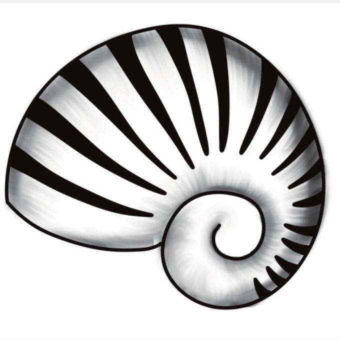 Draw a Shell Doodle Pattern — Step by Step