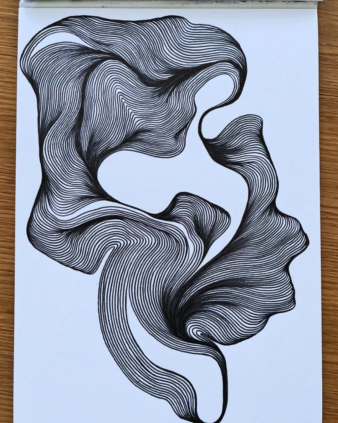 🌀🖤 The Flow of Endless Lines 🖤🌀

This mesmerizing artwork by @mindfluids turns simple lines into a captivating study of movement and form. Waves of parallel lines bend, twist, and gather into organic shapes, creating the illusion of flowing fabric or currents suspended in motion. The monochrome palette keeps the focus on the incredible precision and rhythm of the linework. ✨

What makes this piece especially striking is how the lines change direction and density to create depth without relying on color or shading. Every curve feels intentional, giving the composition a hypnotic and meditative quality.

Why this artwork stands out:

1️⃣ Fluid linework — flowing curves create a strong sense of movement
2️⃣ Incredible precision — countless parallel lines are carefully controlled
3️⃣ Organic forms — abstract shapes feel soft, natural, and dimensional
4️⃣ Monochrome simplicity — lets the craftsmanship speak for itself
5️⃣ Meditative rhythm — repetitive lines create a calming visual experience

Art by: @mindfluids 🤍

#LineArt #AbstractArt #PatternArt #InkDrawing #MonochromeArt #FlowArt #DoodleArt #HandDrawnArt #CreativePatterns #MindfulDrawing #MeditativeArt #LineWork #AbstractDrawing #ArtInspiration #SlowArt